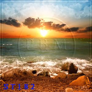 5'x8' ST182